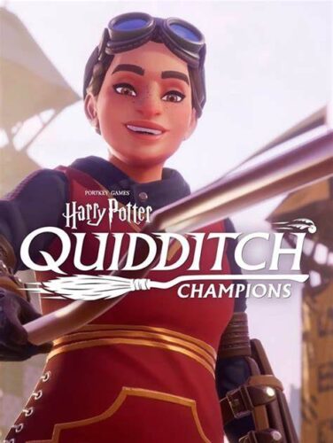Harry Potter : Champions de Quidditch